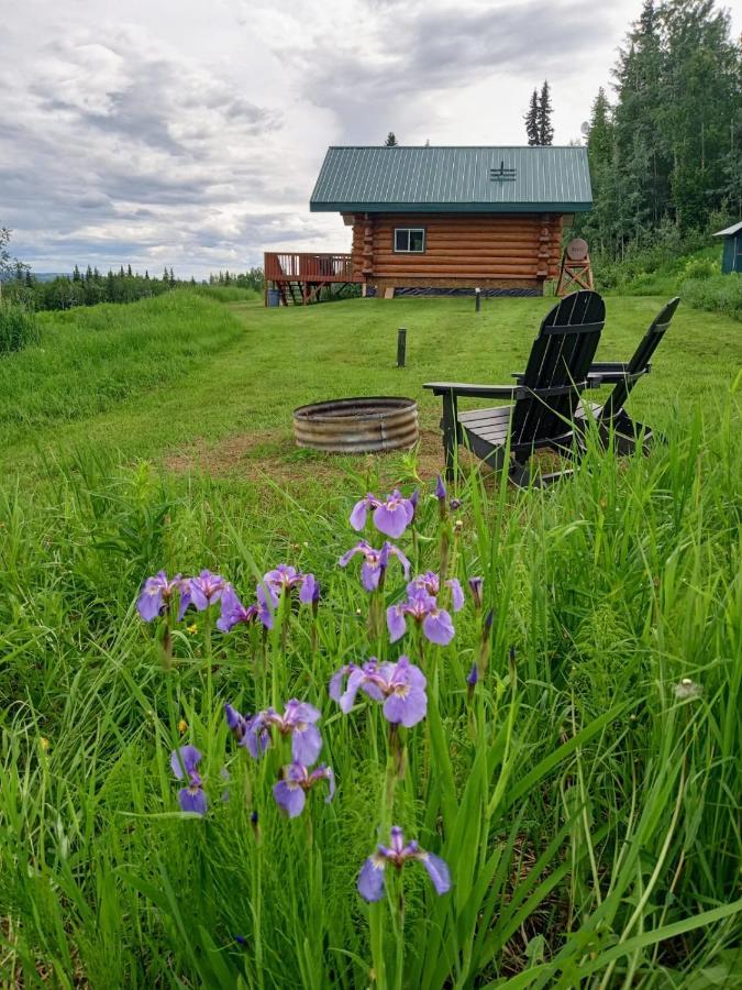 Secluded Log Cabin, 30 Min From Chena Hot Springs Pleasant Valley Exterior foto